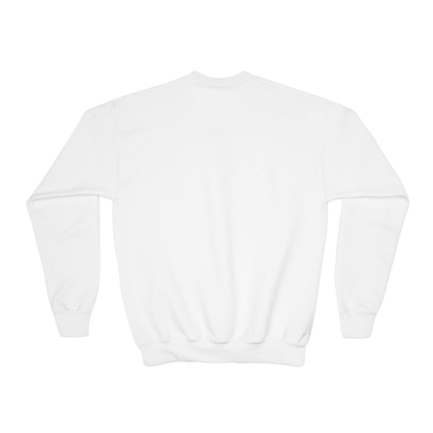 Funny Youth Crewneck Sweatshirt-Me and My Grades We Got Beef! (Design B)