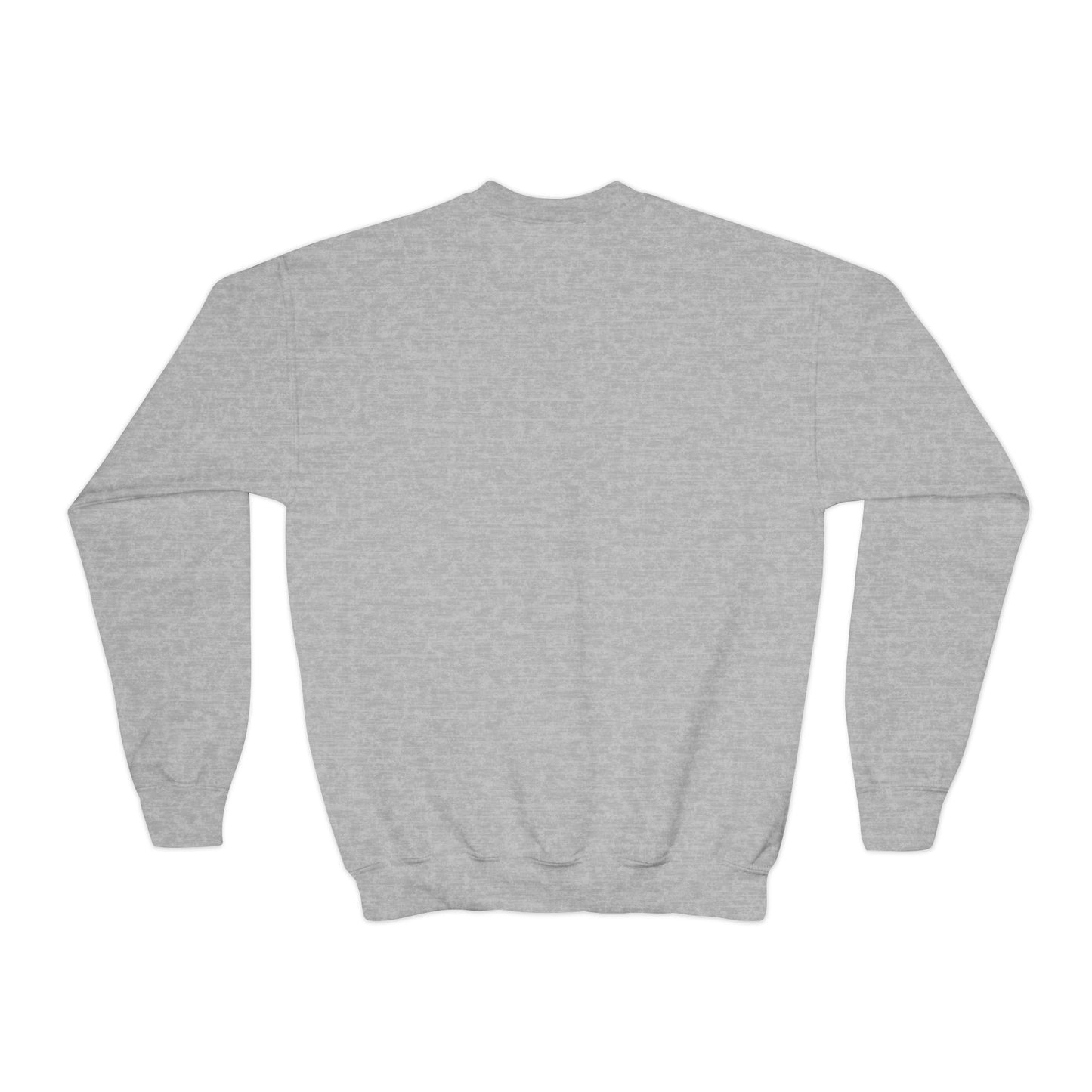 Funny Youth Crewneck Sweatshirt-Me and My Grades We Got Beef! (Design B)